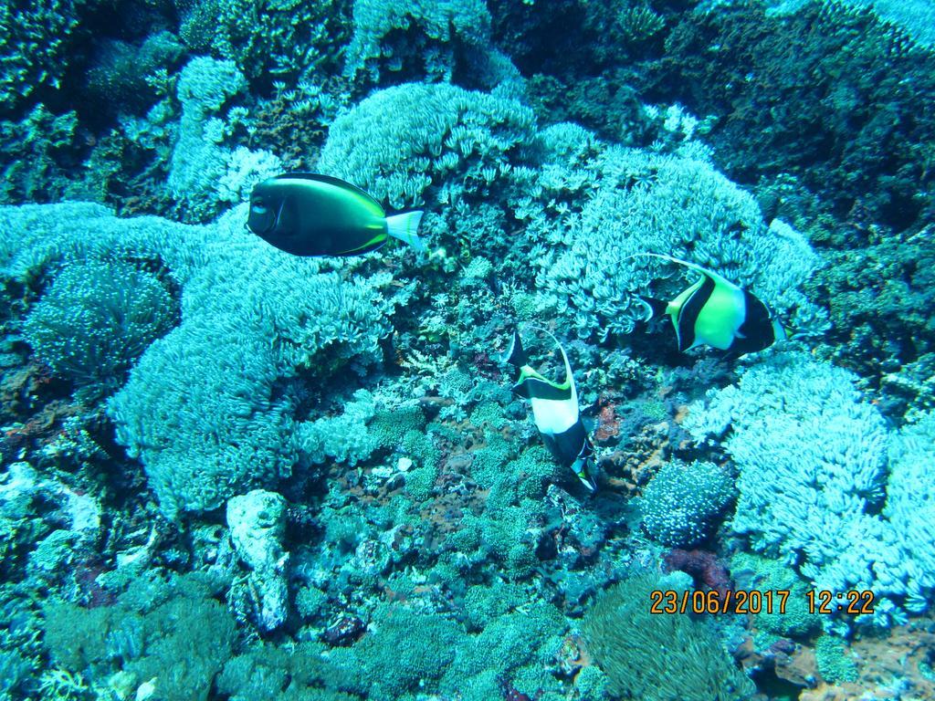 Putra 7 Taman liburan Nusa Lembongan (Bali)